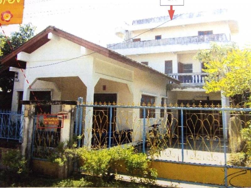 ดอนศรีชุม ดอกคำใต้ พะเยา